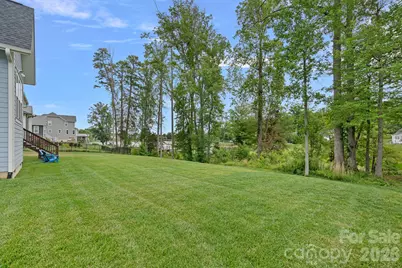 165 Little Indian Loop, Mooresville, NC 28117 - Photo 37