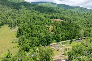 3206 Fork Mountain Rd, Bakersville, NC 28705 - Photo 41