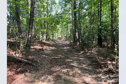 Tbd Lotus Drive #19, Nebo, NC 28761 - Photo 11