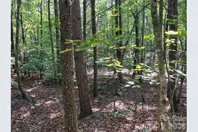Tbd Lotus Drive #19, Nebo, NC 28761 - Photo 13
