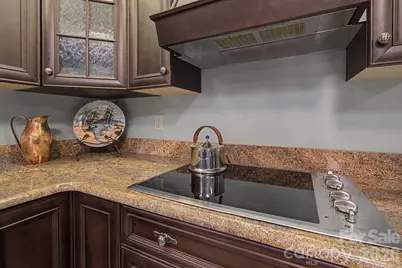 16 Clubside Drive, Asheville, NC 28804 - Photo 19