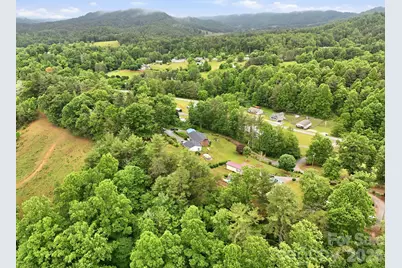 22 Webb Hill Road, Leicester, NC 28748 - Photo 43