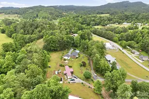 22 Webb Hill Rd, Leicester, NC 28748 - Photo 45