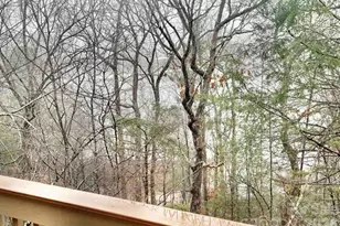 155 Quail Cove Blvd, Lake Lure, NC 28746 - Photo 13