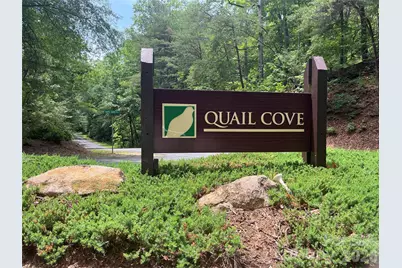 155 Quail Cove Boulevard #1608, Lake Lure, NC 28746 - Photo 1