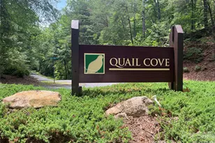 155 Quail Cove Blvd, Lake Lure, NC 28746 - Photo 1