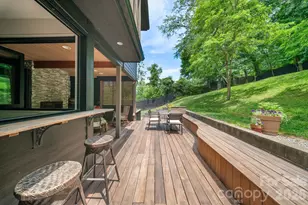 53 Buchanan Pl, Asheville, NC 28801 - Photo 45