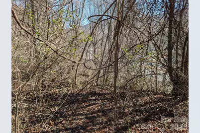 00 Great Smoky Mountain Expy Highway, Waynesville, NC 28786 - Photo 5