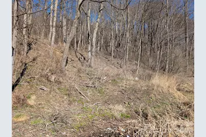 00 Great Smoky Mountain Expy Highway, Waynesville, NC 28786 - Photo 3