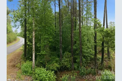 1626 Lake Vista Drive NE, Connelly Springs, NC 28612 - Photo 7