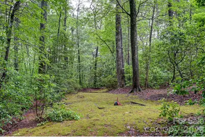 29 Shadow Brook Drive, Flat Rock, NC 28731 - Photo 33