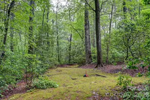 29 Shadow Brook Dr, Flat Rock, NC 28731 - Photo 33