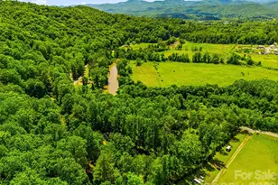 243 Poplar Ln, Pisgah Forest, NC 28712 - Photo 47
