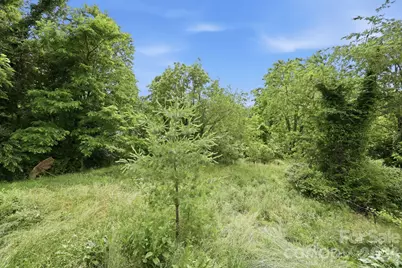 131 Vinewood Circle, Asheville, NC 28806 - Photo 21