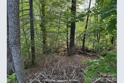 53 Will Road #2, Hendersonville, NC 28792 - Photo 5