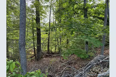 53 Will Road #2, Hendersonville, NC 28792 - Photo 3