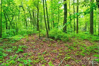 215 Laurel Mountain Trail #10, Black Mountain, NC 28711 - Photo 15