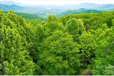 215 Laurel Mountain Trail #10, Black Mountain, NC 28711 - Photo 5