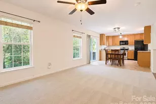 7638 Black Hawk Ln, Tega Cay, SC 29708 - Photo 13