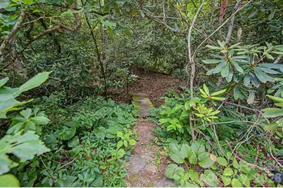 878 Garren Creek Road, Fairview, NC 28730 - Photo 45