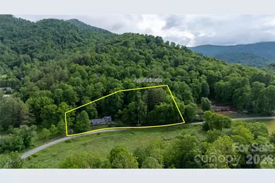 3477 Cane Creek Road, Bakersville, NC 28705 - Photo 3