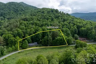 3477 Cane Creek Rd, Bakersville, NC 28705 - Photo 3