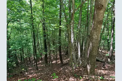 Tbd Warren Way #132A, Purlear, NC 28665 - Photo 5
