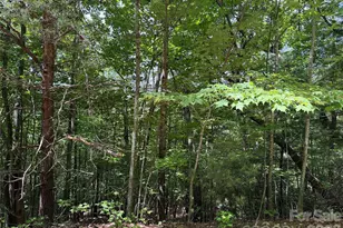 Tbd Warren Way, Purlear, NC 28665 - Photo 1