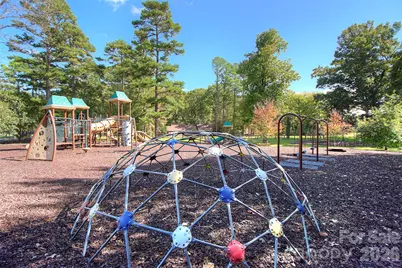 36 Water Thrush Road, Lake Wylie, SC 29710 - Photo 45