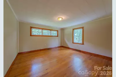 456 Lower Grassy Branch Road, Asheville, NC 28805 - Photo 29