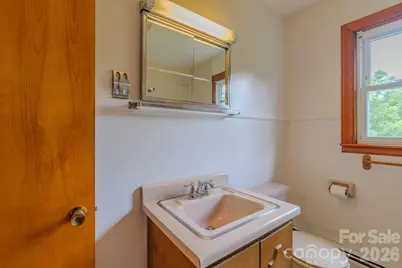 456 Lower Grassy Branch Road, Asheville, NC 28805 - Photo 23