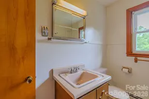 456 Lower Grassy Branch Rd, Asheville, NC 28805 - Photo 23