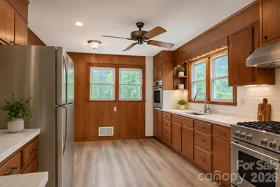 456 Lower Grassy Branch Road, Asheville, NC 28805 - Photo 5
