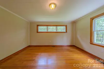 456 Lower Grassy Branch Road, Asheville, NC 28805 - Photo 27