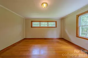 456 Lower Grassy Branch Rd, Asheville, NC 28805 - Photo 27