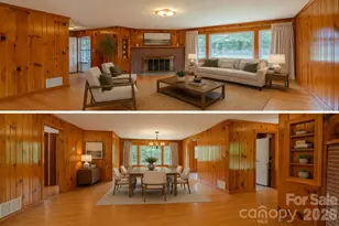 456 Lower Grassy Branch Rd, Asheville, NC 28805 - Photo 17