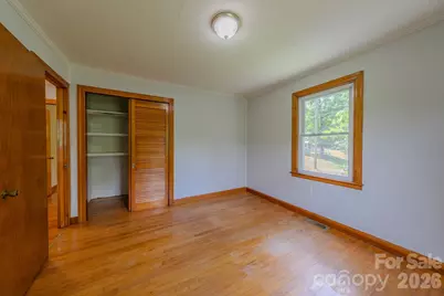 456 Lower Grassy Branch Road, Asheville, NC 28805 - Photo 35