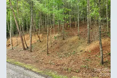 Lot 29 Hampton Lane, Weaverville, NC 28787 - Photo 3
