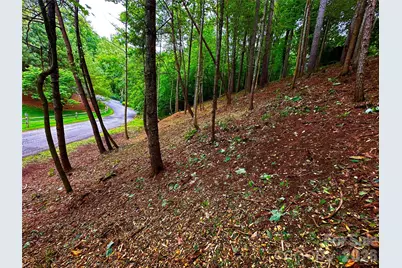 Lot 29 Hampton Lane, Weaverville, NC 28787 - Photo 5