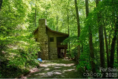152 Middle Creek Cove, Burnsville, NC 28714 - Photo 7
