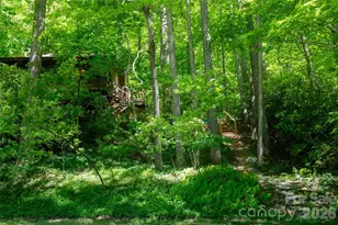 152 Middle Creek Cove, Burnsville, NC 28714 - Photo 5