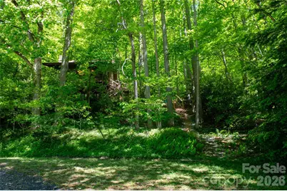 152 Middle Creek Cove, Burnsville, NC 28714 - Photo 3