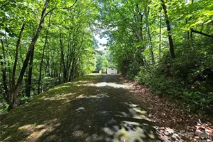 6 Rain Cloud Rd, Candler, NC 28715 - Photo 3