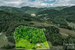 302 Sprinkle Branch Rd, Marshall, NC 28753 - Photo 5