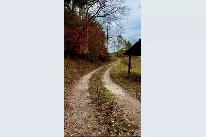 1239 W McGuinn Road, Mill Spring, NC 28756 - Photo 27