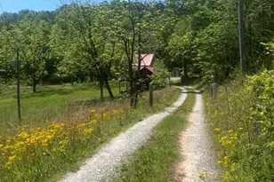 1239 W McGuinn Rd, Mill Spring, NC 28756 - Photo 31