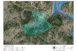 1239 W McGuinn Rd, Mill Spring, NC 28756 - Photo 3