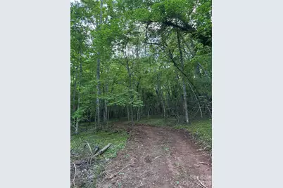 1239 W McGuinn Road, Mill Spring, NC 28756 - Photo 13