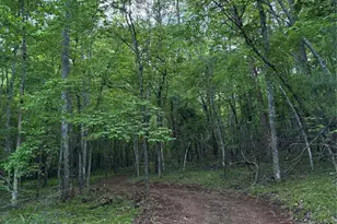 1239 W McGuinn Rd, Mill Spring, NC 28756 - Photo 13