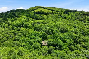 311 Copper Spur Dr, Maggie Valley, NC 28751 - Photo 41